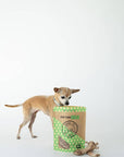 Winnie Lou - Bison Tendon Chews