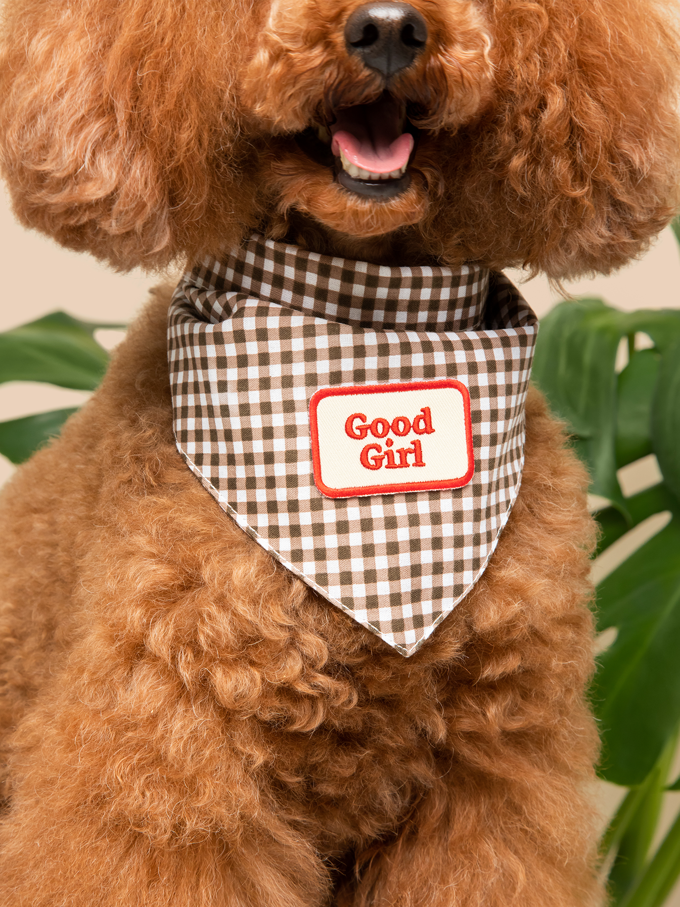 Scout's Honour Pty Ltd - Good Girl iron-on patch for dogs