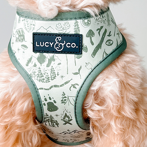 Lucy &amp; Co. - Camp Out Reversible Harness: L