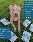 SourDog - Berry Blessed- Blueberry Sourdough Dog Treats