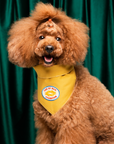 Scout's Honour Pty Ltd - Tug of War Champion iron-on patch for dogs and cats