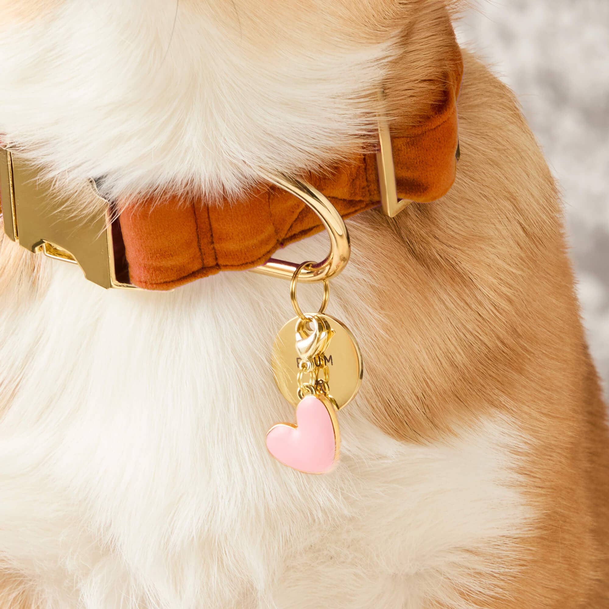 The Foggy Dog - Pink Heart Collar Charm: Charm Only