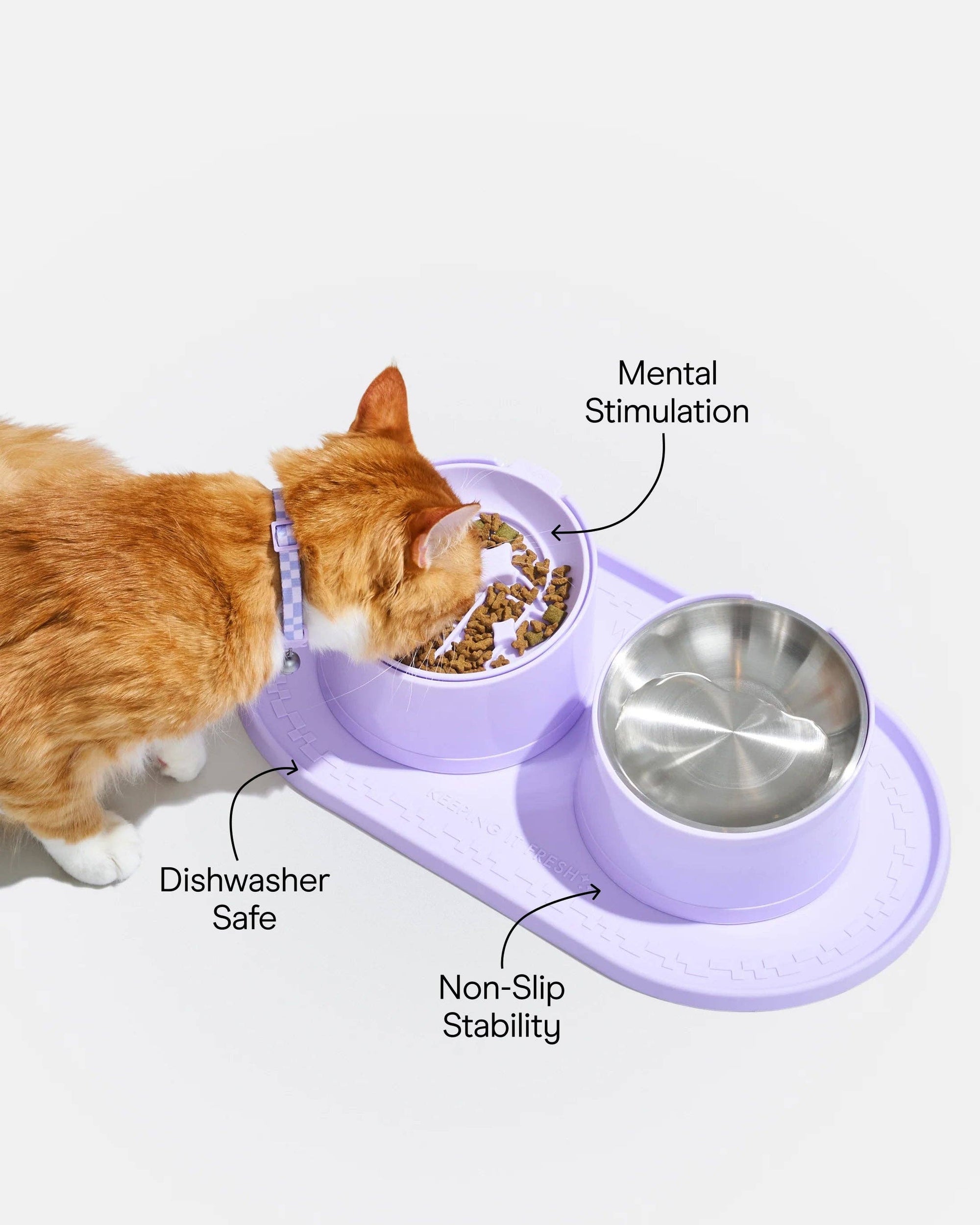 Wild One - Cat Bolster Bed: Bubblegum