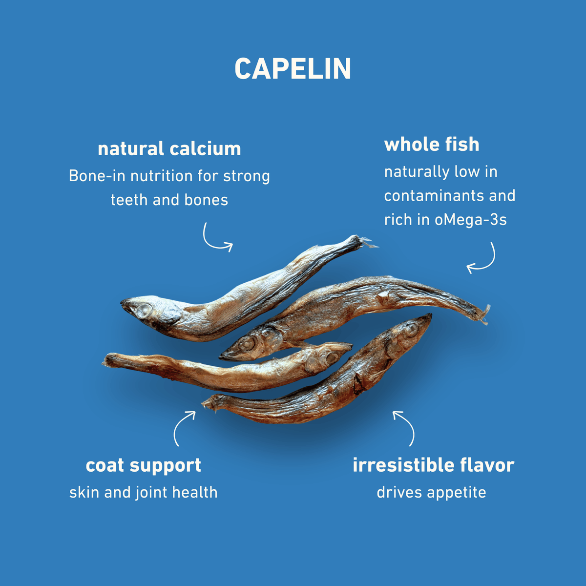 Max &amp; Bella - Freeze-Dried Capelin Treats for Dogs &amp; Cats — Single Ingredient, Grab-and-Go Packs: 10-Pack