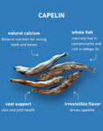 Max & Bella - Freeze-Dried Capelin Treats for Dogs & Cats — Single Ingredient, Grab-and-Go Packs: 10-Pack