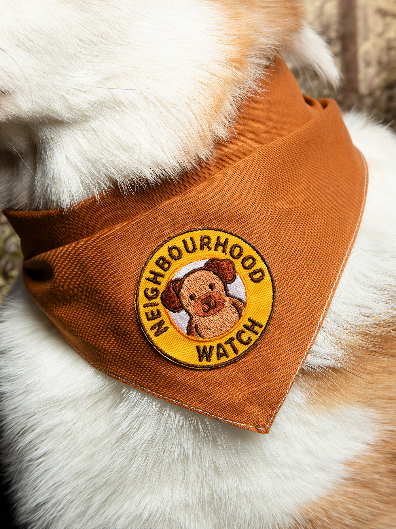 Scout's Honour Pty Ltd - Neighbourhood Watch patch for dogs and cats