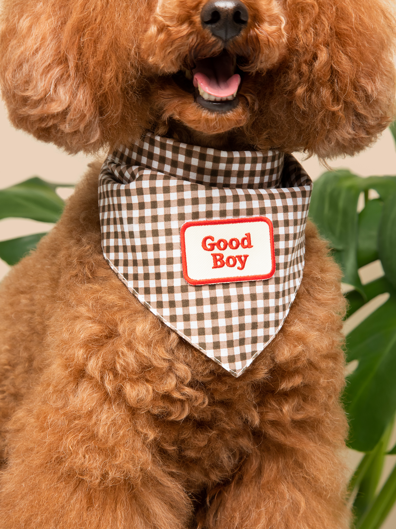 Scout's Honour Pty Ltd - Good Boy iron-on patch for dogs and cats