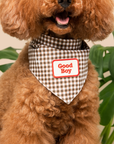 Scout's Honour Pty Ltd - Good Boy iron-on patch for dogs and cats