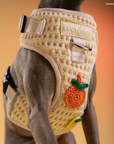 Lucy & Co. - Main Squeeze Crochet No-Pull Harness
