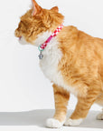 Wild One - Breakaway Cat Collar: S / M • Cat / Lilac