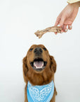 Winnie Lou - Bison Tendon Chews