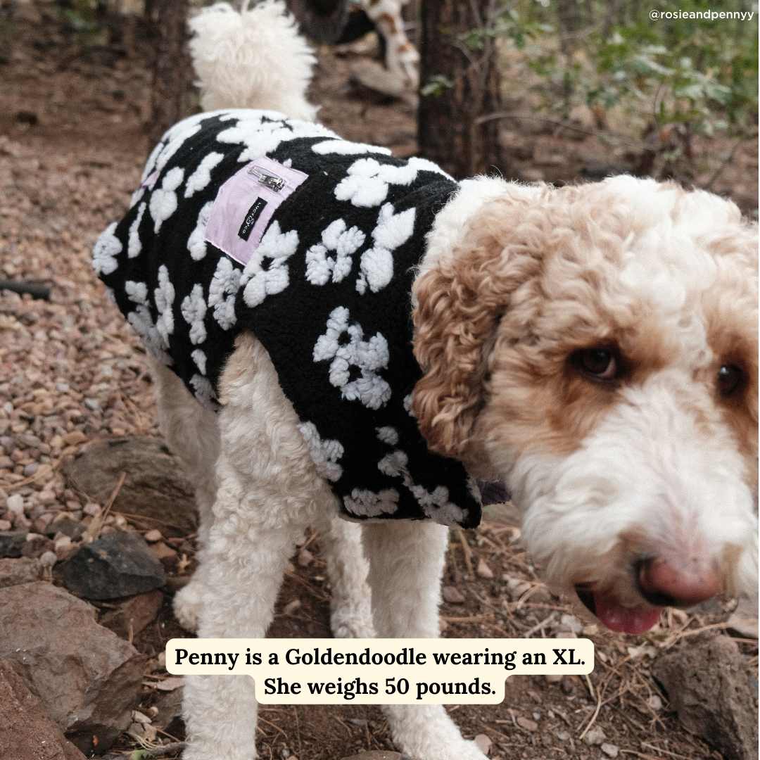 Lucy &amp; Co. - Far Out Reversible Teddy Vest