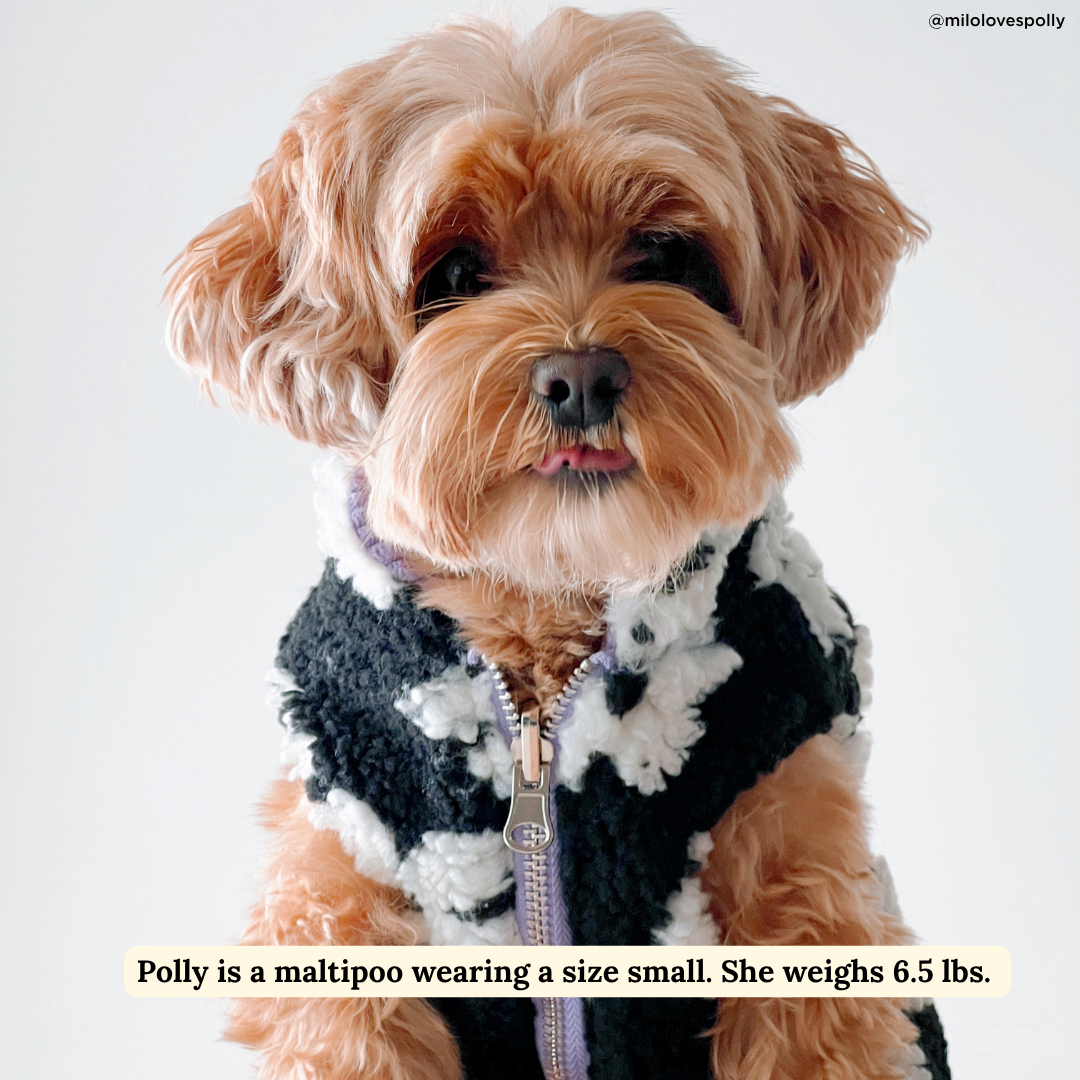 Lucy &amp; Co. - Far Out Reversible Teddy Vest