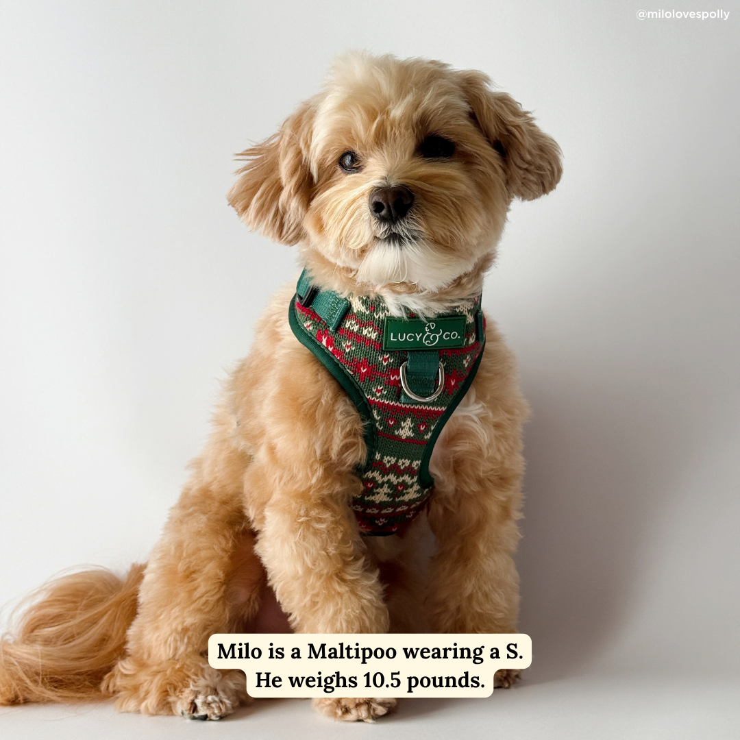 Lucy &amp; Co. - Cozy Cheer No-Pull Harness