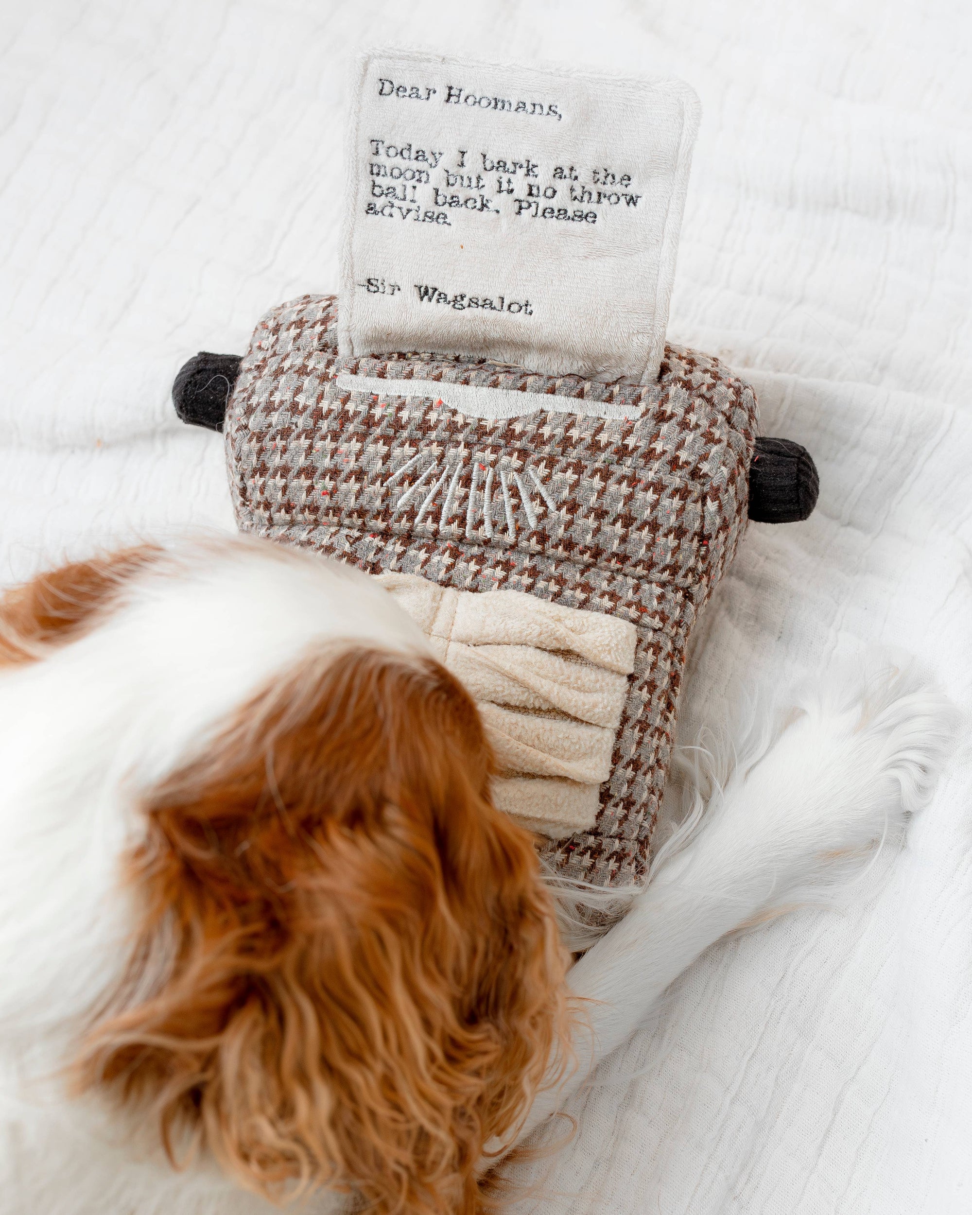 Lambwolf Collective - TYPEWRITER//ENRICHMENT DOG TOY