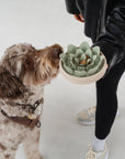 dexypaws - Planter Slow Feeder