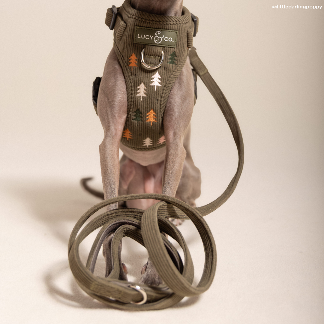 Lucy &amp; Co. - Take a Hike Corduroy Leash