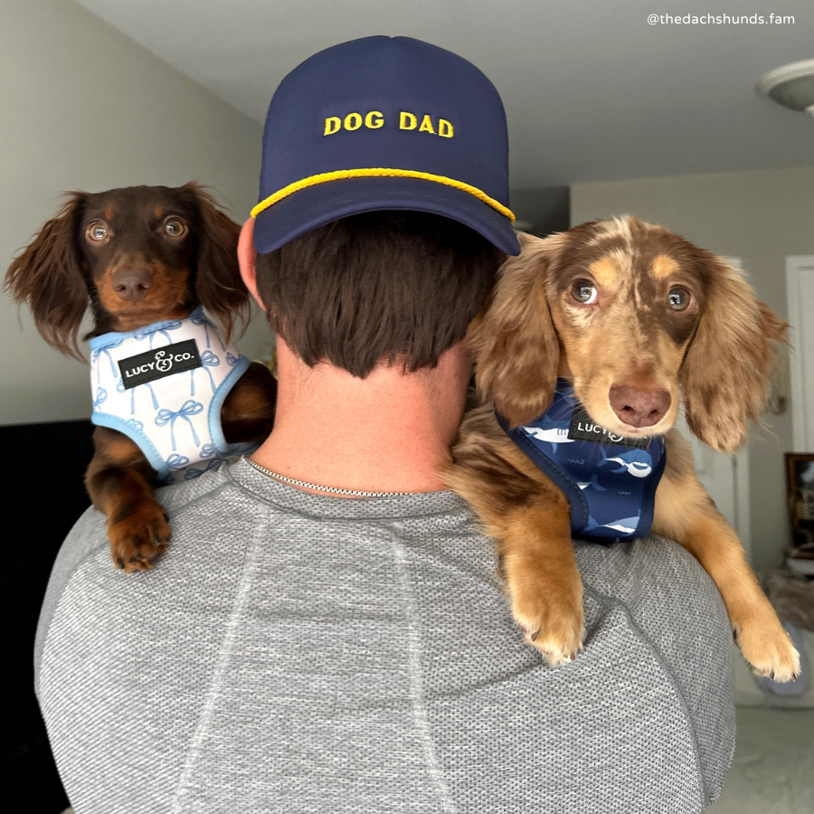 Lucy &amp; Co. - Navy Dog Dad Trucker Hat