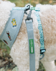 Lucy & Co. - Lucy & Co. x Parks Project Adventures with Friends Leash