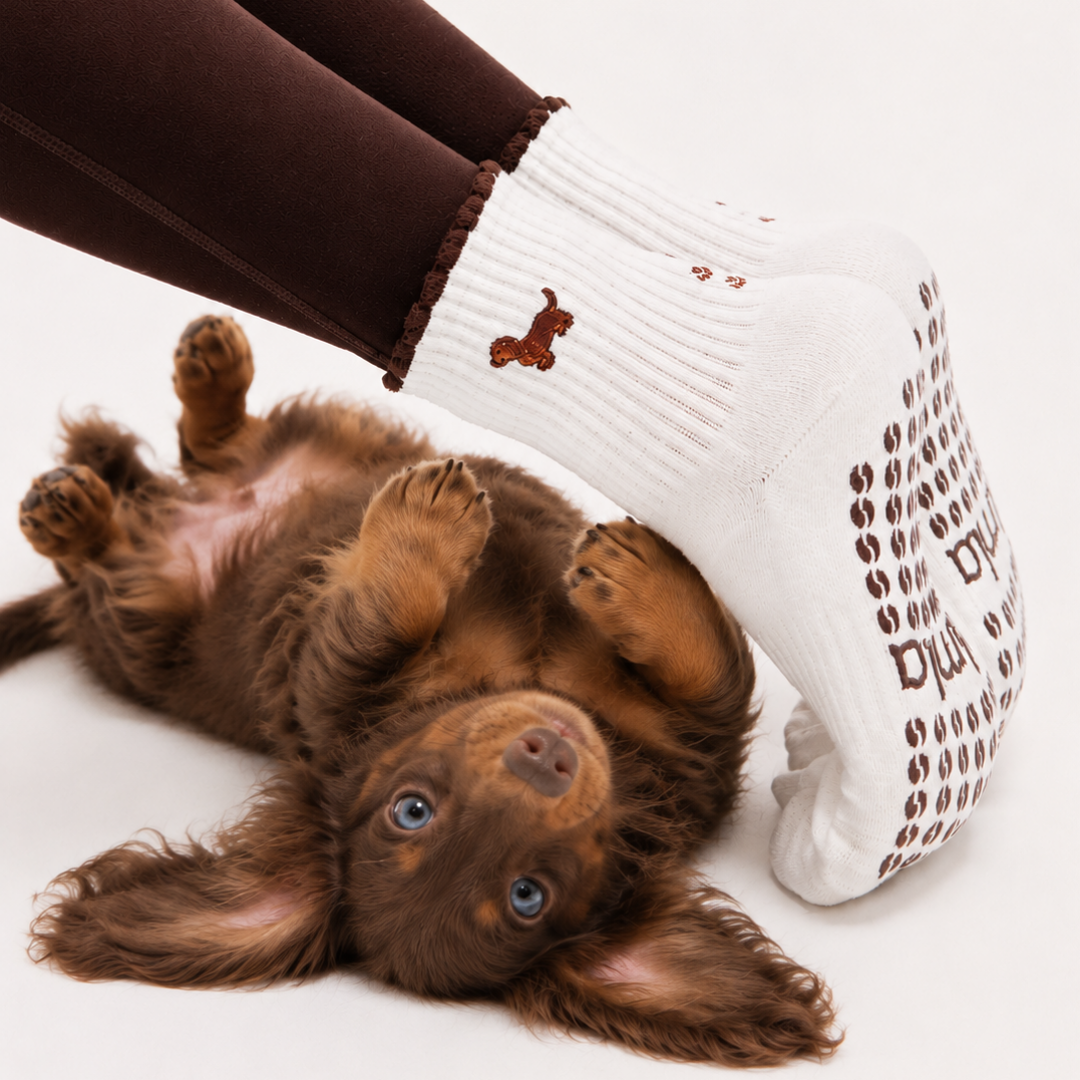 Almla Active - Dachshund &amp; Espresso Martini Double Sided Pilates Grip Sock: One Size