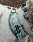Lucy & Co. - Camp Out Leash: L
