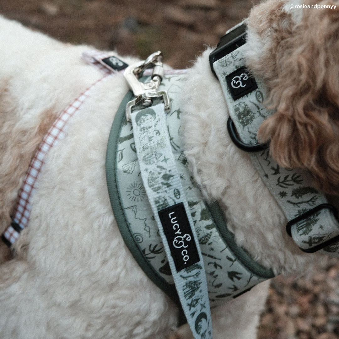 Lucy &amp; Co. - Camp Out Collar: L