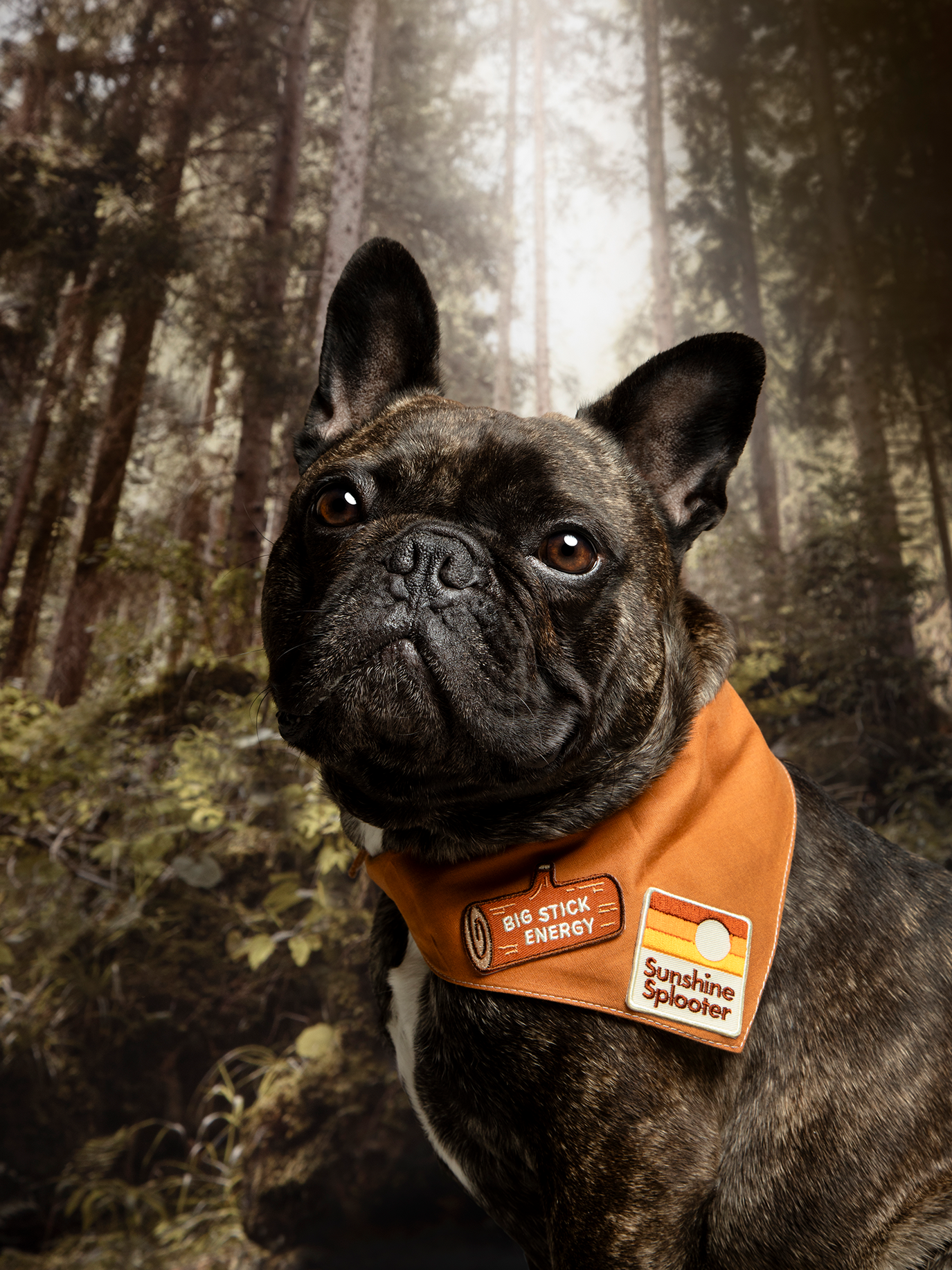Scout's Honour Pty Ltd - Big Stick Energy iron-on patch for pets