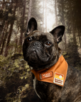 Scout's Honour Pty Ltd - Big Stick Energy iron-on patch for pets