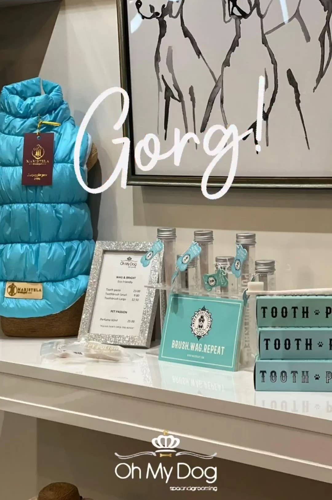 Wag &amp; Bright Supply Co. - Display Stand