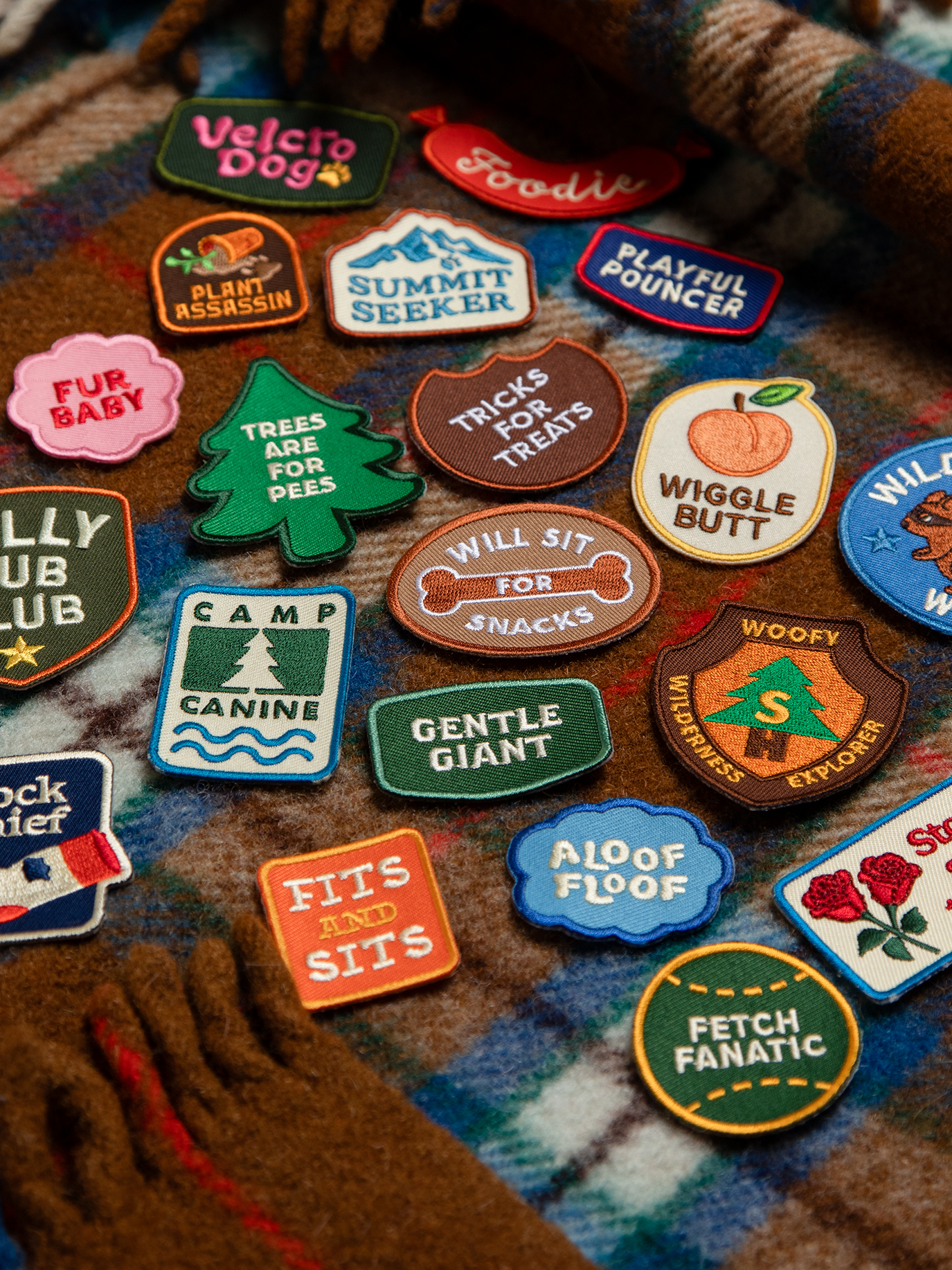 Scout's Honour Pty Ltd - Aloof Floof iron-on patch for dogs and cats