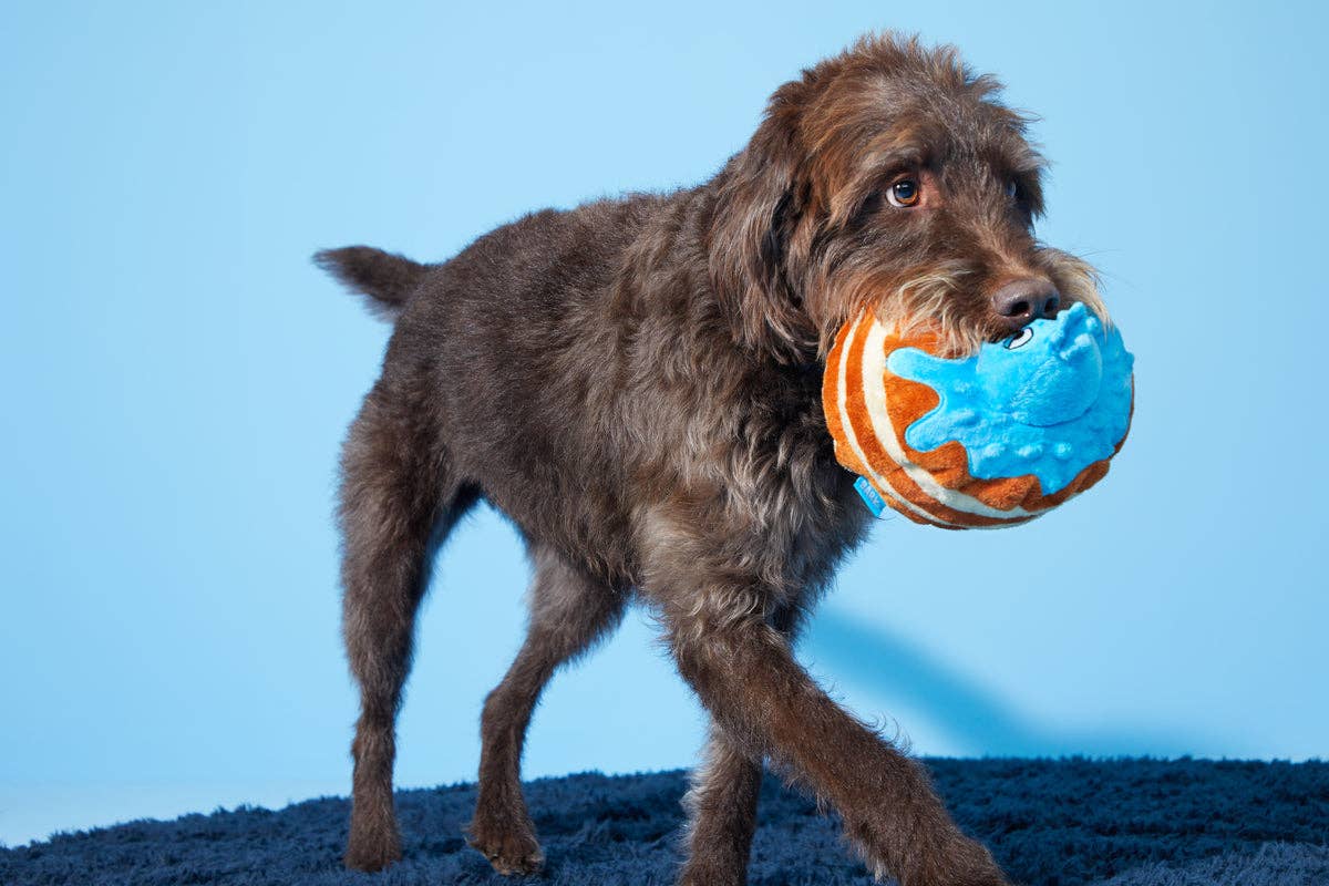 BARK Chewberry Pancakes Plush Dog Toy: Default Title