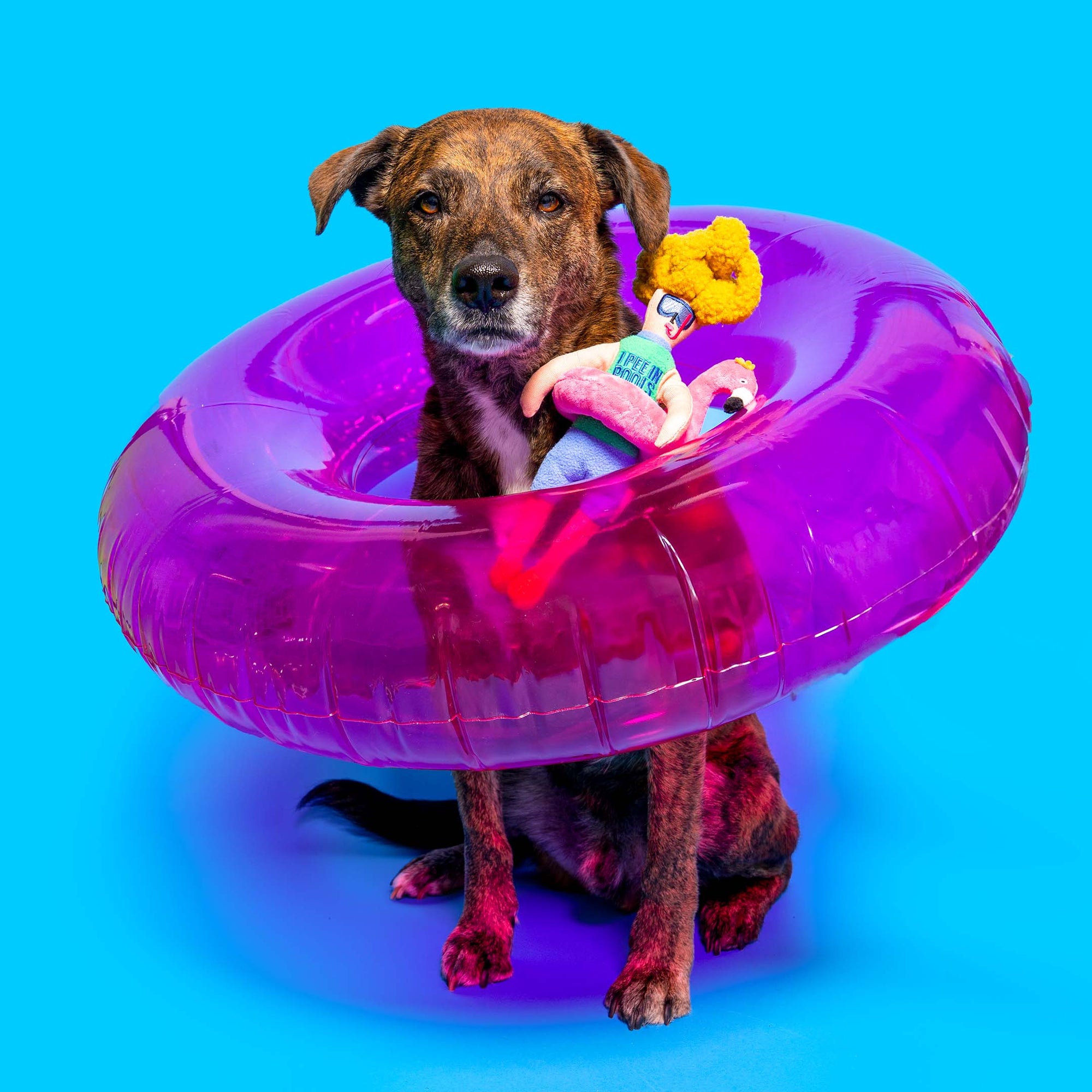 the furryfolks - Flamingo Hooman Nosework Toy