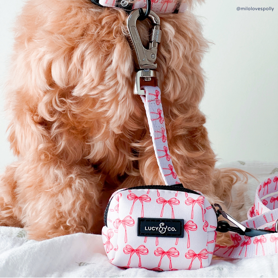 Lucy &amp; Co. - Take a Bow Leash: L
