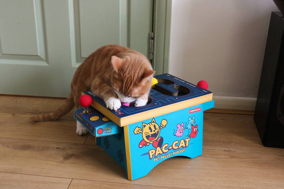 SUCK UK Ltd - USA - Cat Toy Arcade - Cardboard PacMan inspired arcade machine