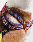 Zee.Dog - Samba | SofterWalk Harness: Large
