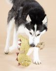 Petshop by Fringe Studio - EARTH FRIENDLY DOG TOY SMALL ARMS, BIG HEART