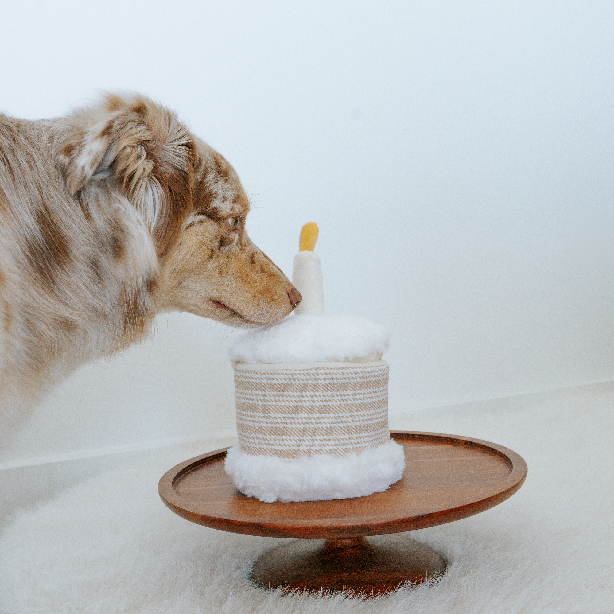 Lambwolf Collective - Birthday Cake // Burrow Toy