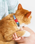 Wild One - Breakaway Cat Collar: S / M • Cat / Bubblegum
