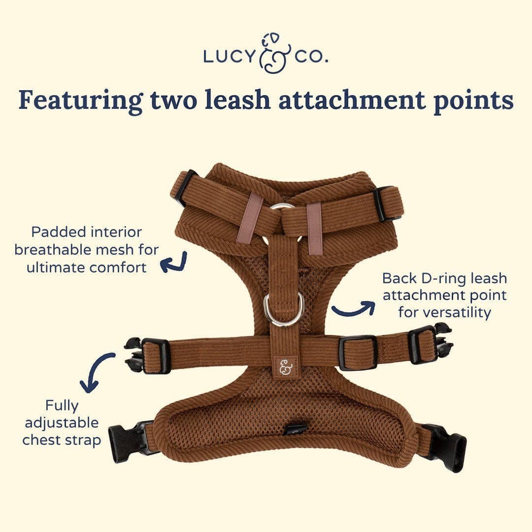 Lucy &amp; Co. - Chocolate Meadows Corduroy No-Pull Harness