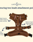 Lucy & Co. - Chocolate Meadows Corduroy No-Pull Harness
