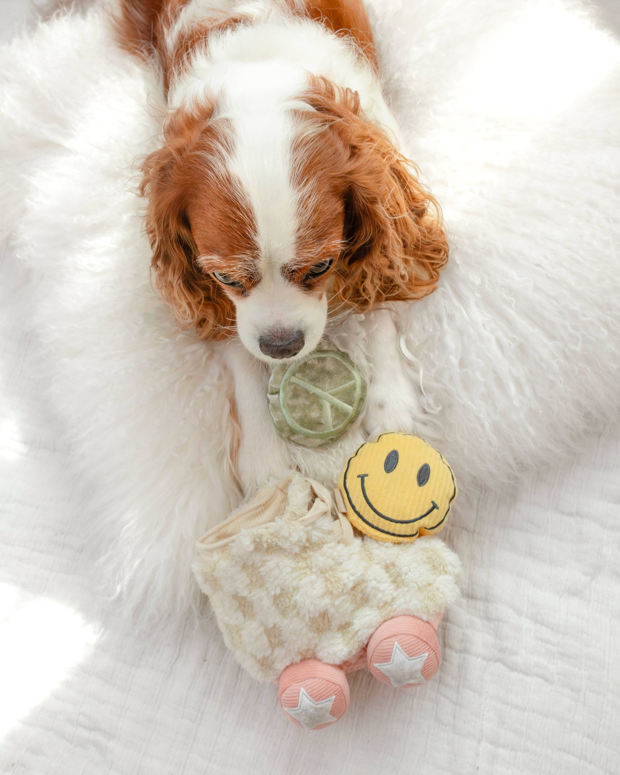 Lambwolf Collective - Roller Skate //ENRICHMENT DOG TOY