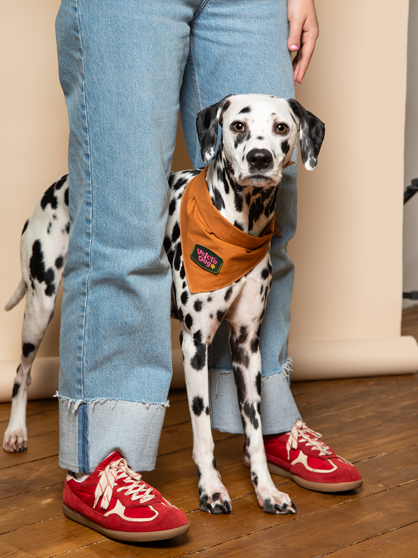 Scout's Honour Pty Ltd - Velcro Dog iron-on patch for dogs and cats