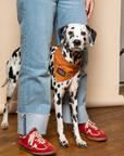 Scout's Honour Pty Ltd - Velcro Dog iron-on patch for dogs and cats