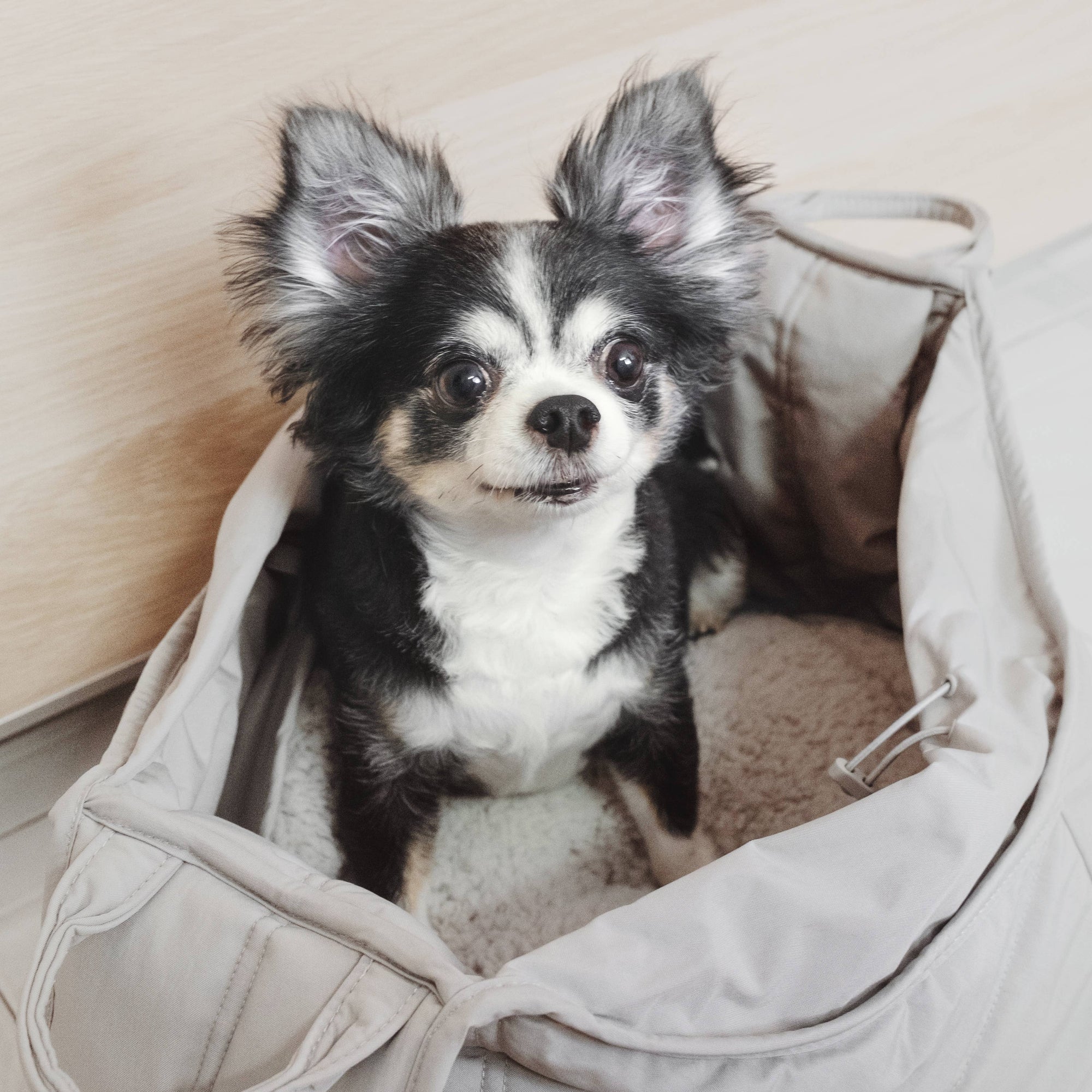 Lambwolf Collective - OLLA // PETITE PET CARRYCOT // DOG &amp; CAT CARRIER: Fern