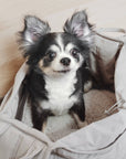 Lambwolf Collective - OLLA // PETITE PET CARRYCOT // DOG & CAT CARRIER: Koala