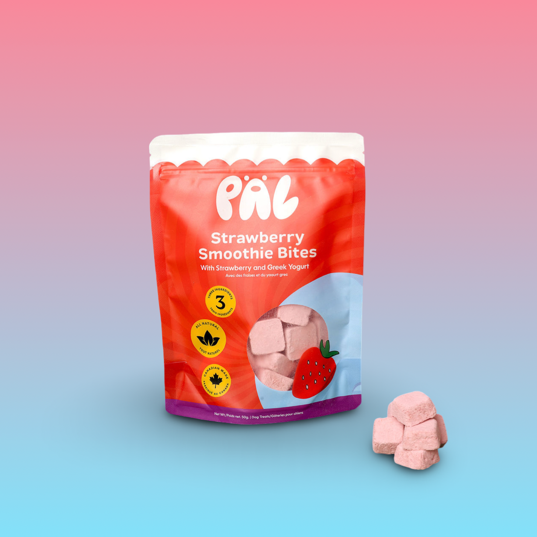 Pal Treat Co - Strawberry Smoothie