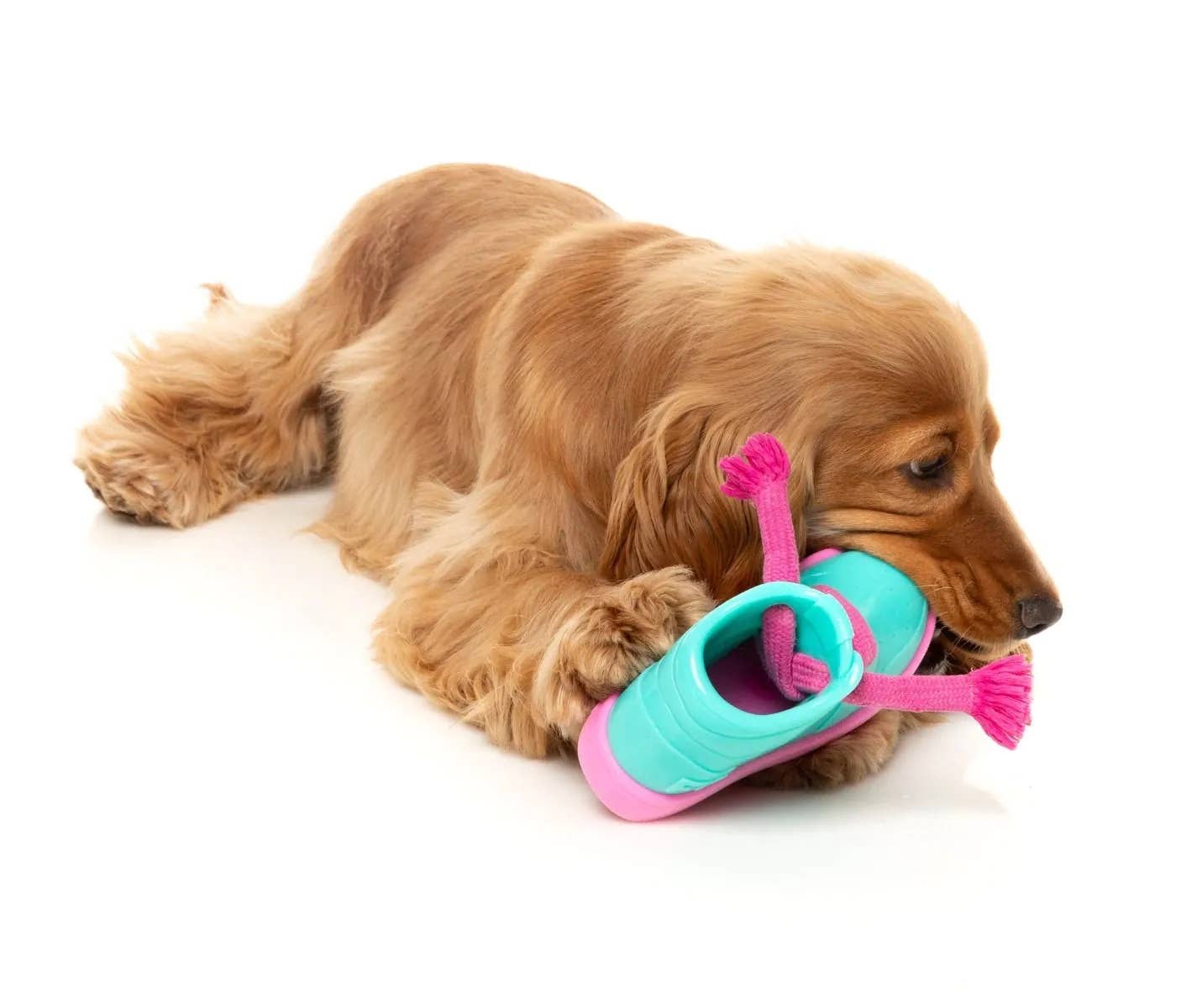 FuzzYard Fresh Kicks N&#39; Licks Dog Chew Toy