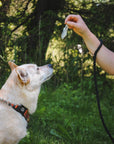 Happy Trout Pet Treats - Little Trout