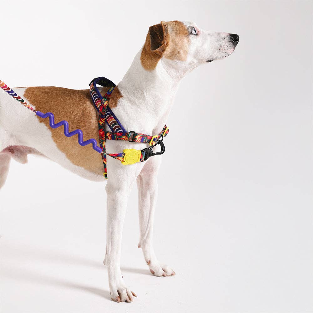 Zee.Dog - Samba | SofterWalk Harness: Large