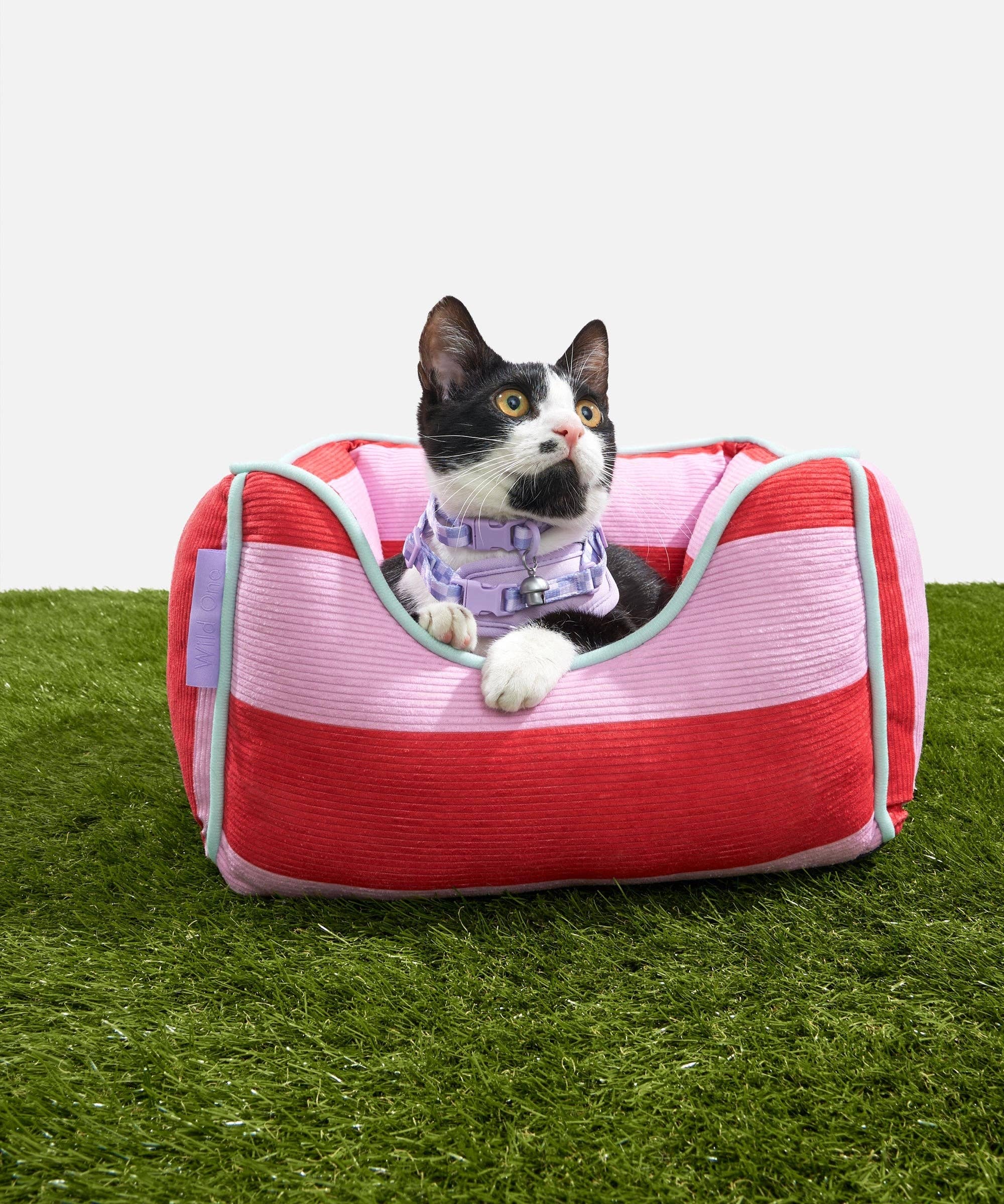 Wild One - Cat Bolster Bed: Bubblegum